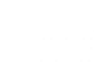 niort-ville-logo